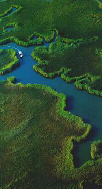 Dalyan delta